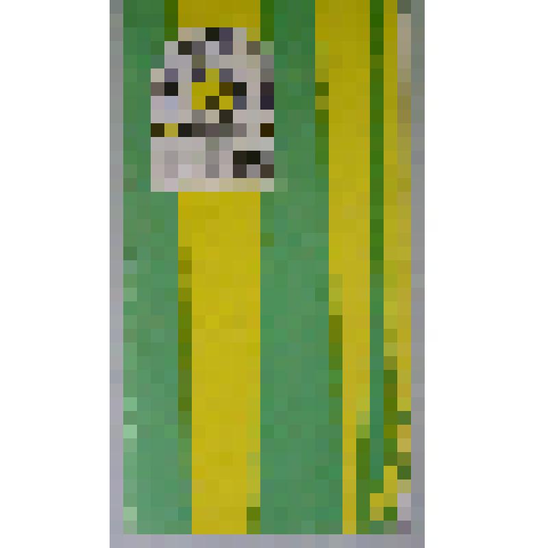 Программа. "Зайка-зазнайка" (Режиссёр - Офрихтер В.Д. Художник - Стенинг В.К. Музыка - Добрусин Ю.). Пермь, Театр кукол