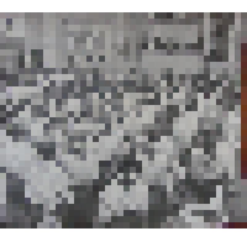 Фото. Звонко и четко прозвучали в этот день слова клятвы