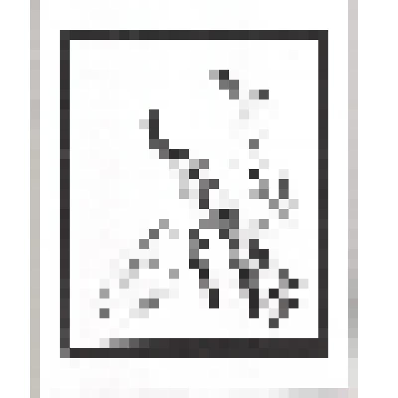 Память лета