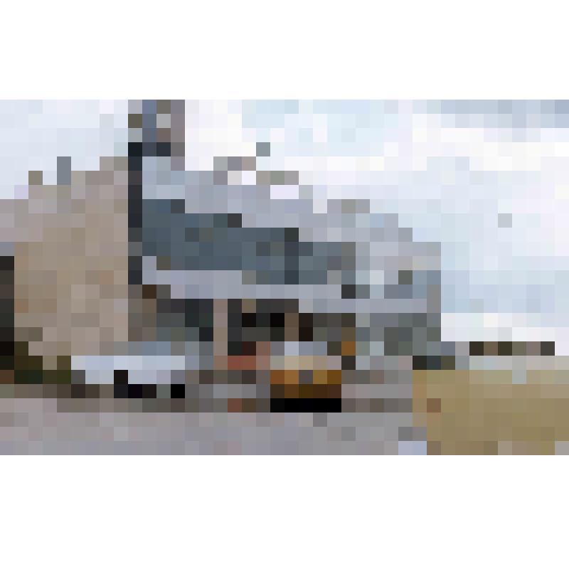 Диапозитив. Восточная зона. (315)