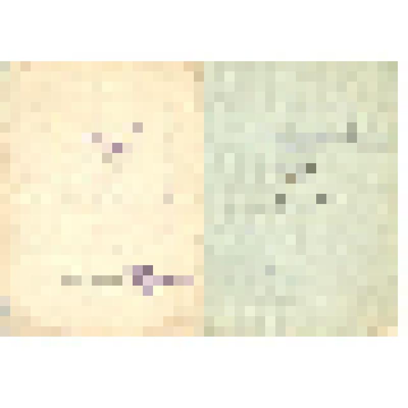 Орденская книжка № 401798 Кизимова П.И., выданная 4 ноября 1945 г