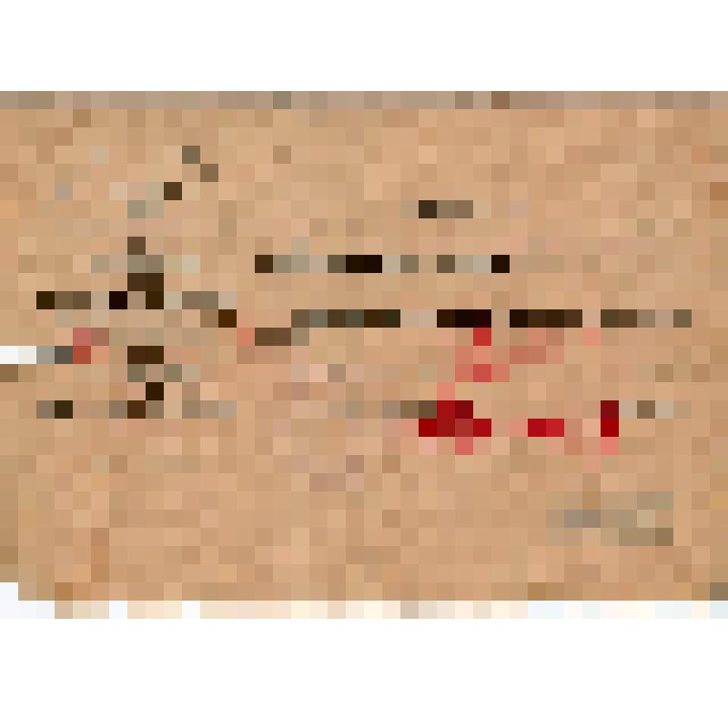 Справка N3/17т. Шипилова Г., зам. начальника политотдела Елховской МТС