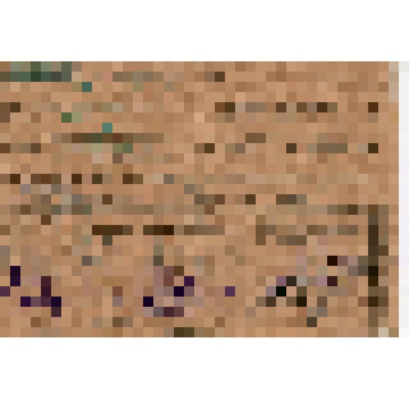 Личная карточка Мельникова С.Х., ударника Ч.Т.З