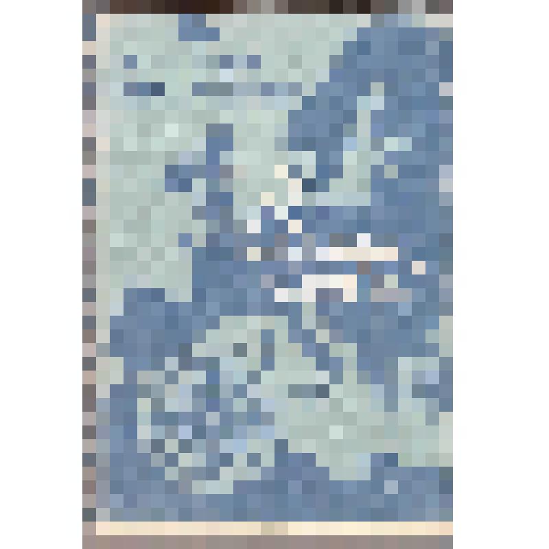 Книга. Европа - слева!