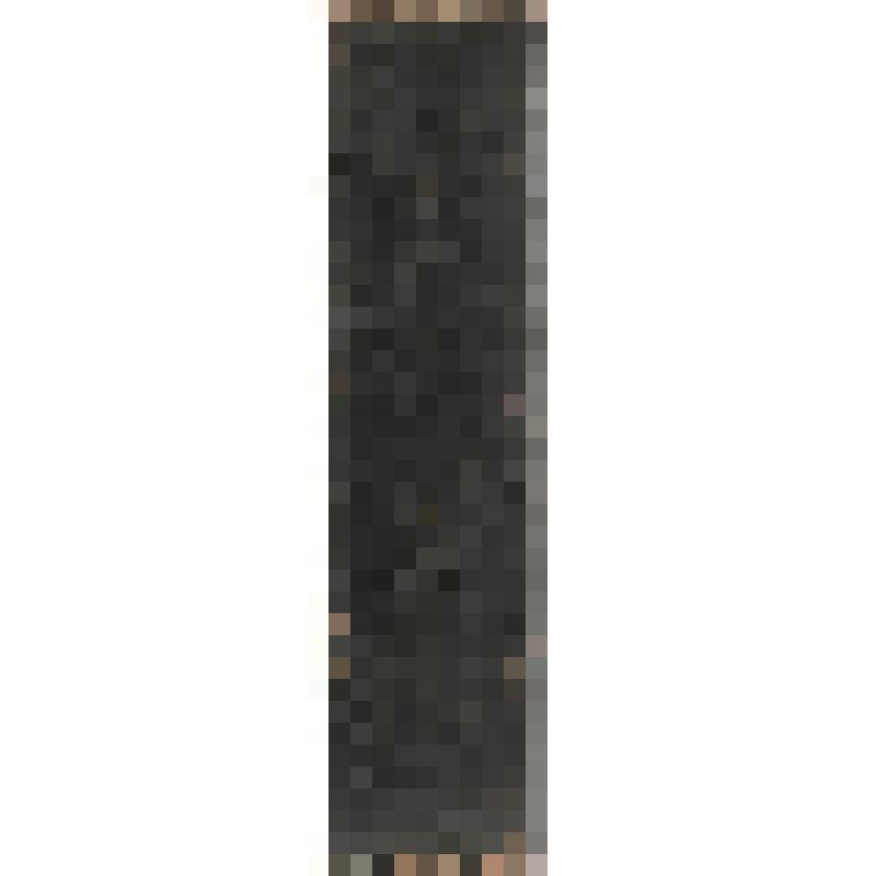 Русская школа: Общепедагогический журнал для школы и семьи