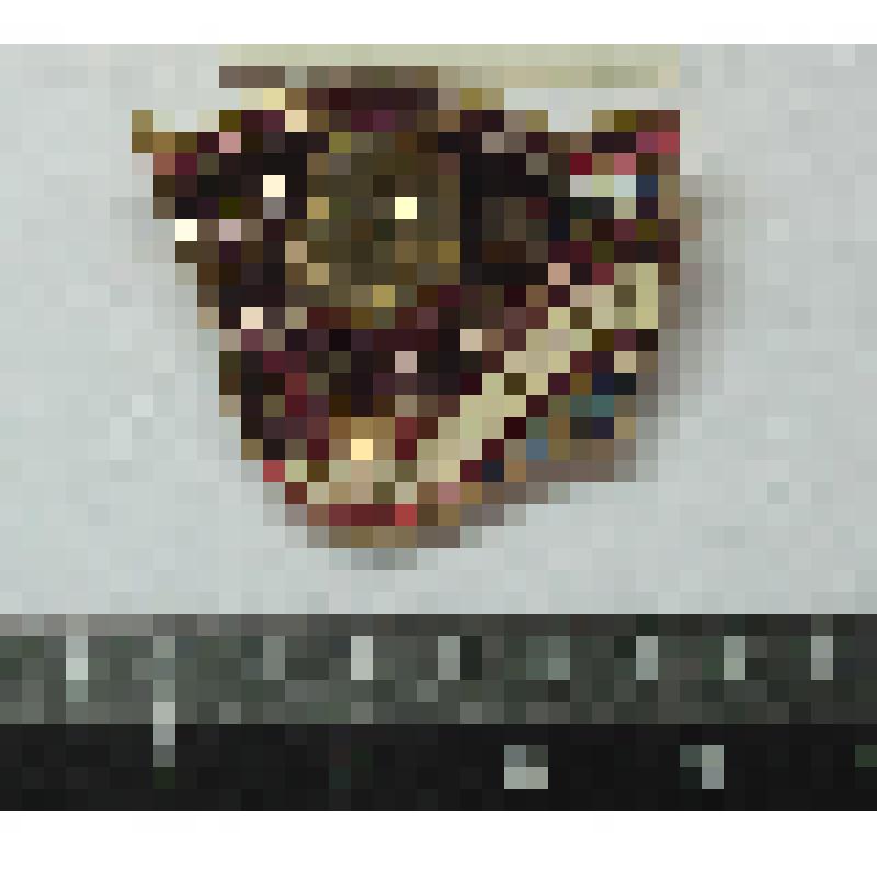 Значок ЦК ВЛКСМ «60 лет с именем Ленина»