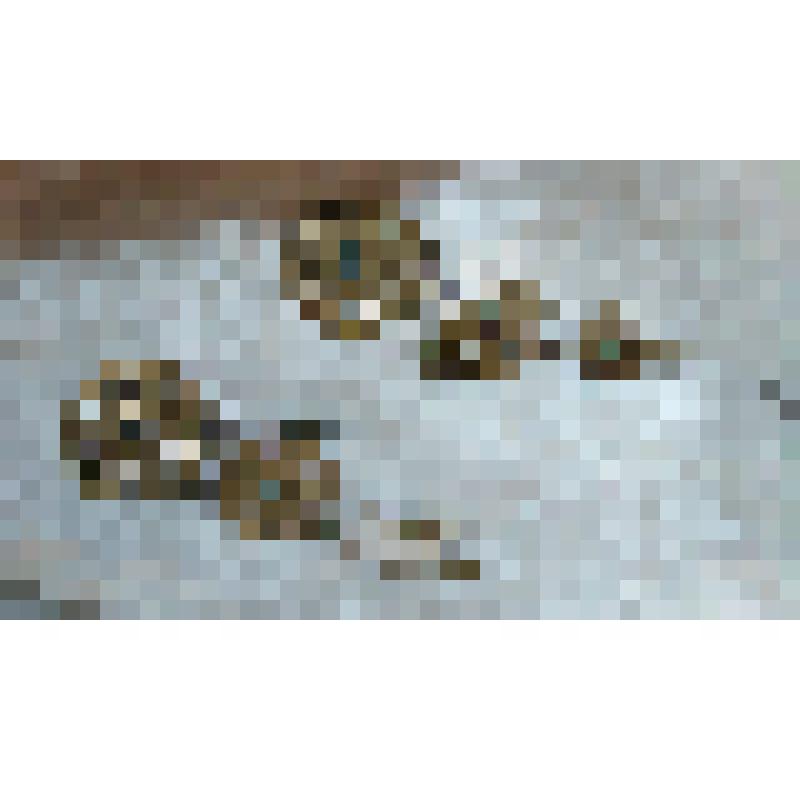 Деталь костюма В.А. Давыдовой  к партии Амнерис. Подвеска из латуни. "Аида". Верди Дж.; 1922, реж. Лосский В.А., худ. Кольбе Г.Ф