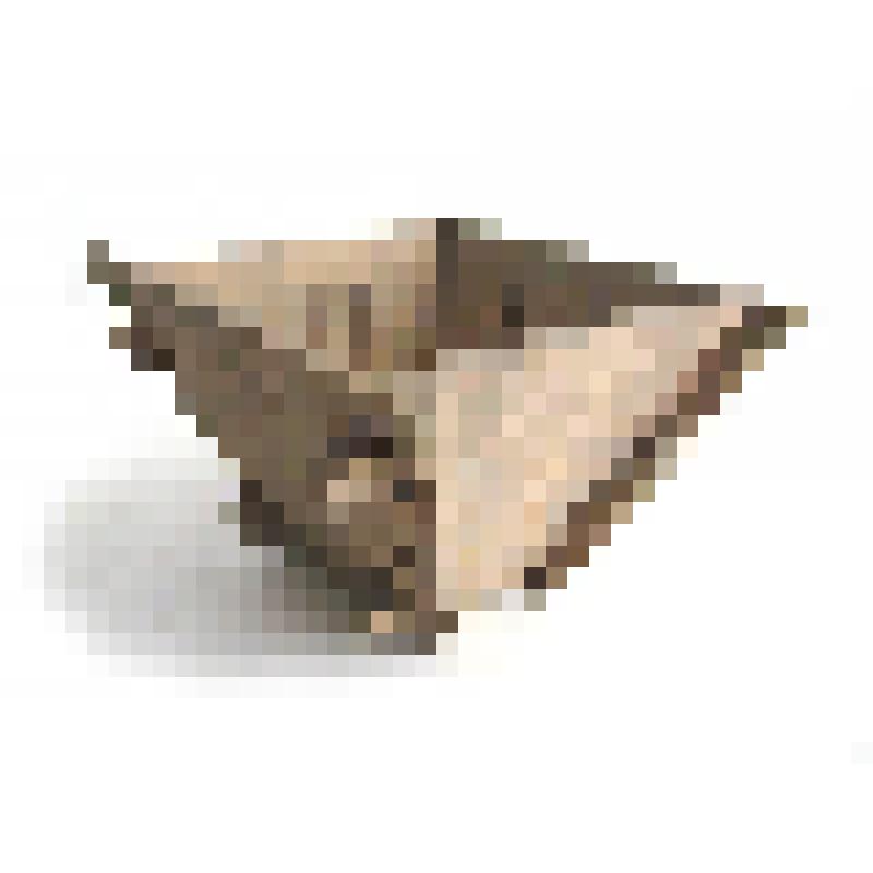 Пасочница разборная из сосновой доски