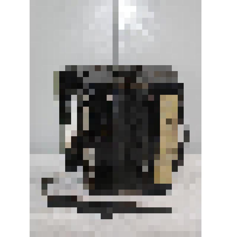 Гармонь "Рябинушка" двухрядная с двумя регистрами, черного цвета