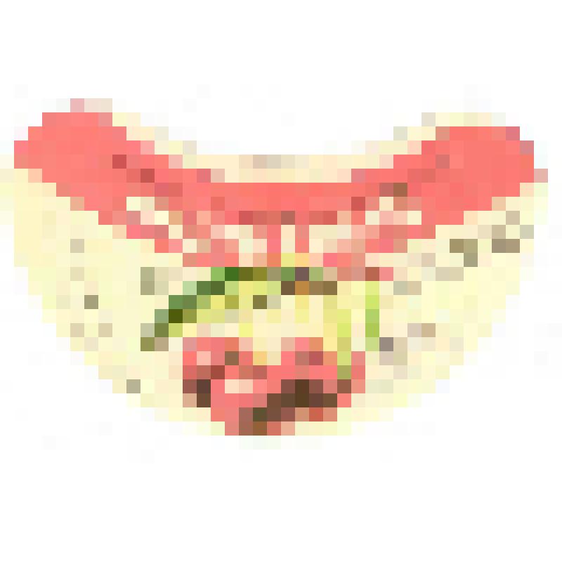 Кольеретка-этикетка горловая к напитку «Вишневый» производства Краснокутского райпищекомбината Саратовской области, из коллекции кольереток – этикеток горловых к безалкогольным напиткам