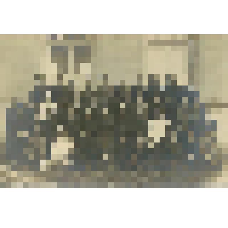 Фотография. Выпускники общественного отделения педагогического факультета Саратовского государственного университета, из коллекции материалов о Полущеве Федоре Николаевиче, враче-гинекологе, преподавателе СМИ, организаторе роддомов в Сталинском  (Заводско