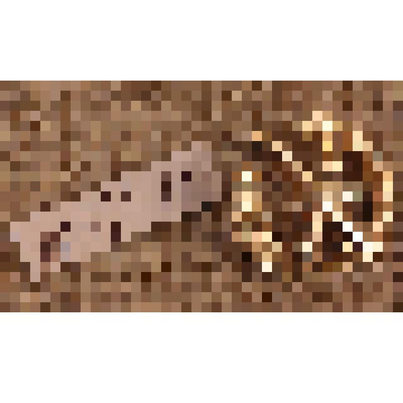 Эмблема ракетных войск и артиллерии Вооруженных Сил РФ для ношения на предметах парадно-выходной и повседневной формы одежды, из коллекции эмблем родов войск Вооруженных Сил СССР и РФ, форменных пуговиц и погон военнослужащих Советской и Российской армии