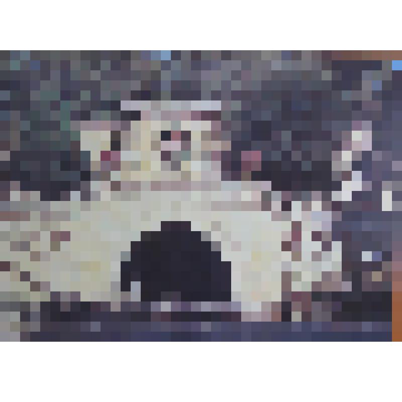 Открытка. Кисловодск. Лермонтовская площадка