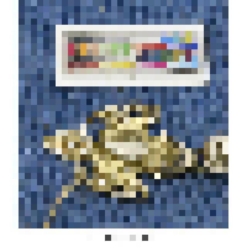 Застежка для платья из двух частей. Застежка для платья (часть)