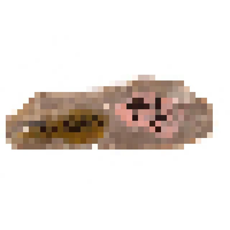 Отщеп. Ныйво 2