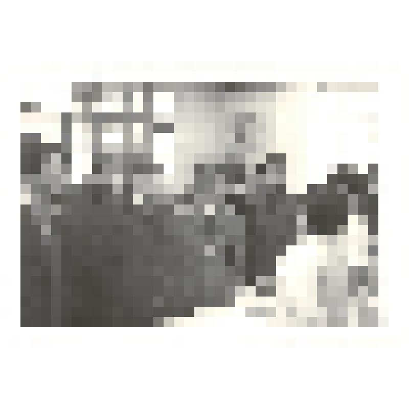 Фотография. Таранов И.Т., председатель Ставропольского крайисполкома (1973-1990 гг.), Горбачев М.С., член Политбюро ЦК КПСС, и другие официальные лица в одном из предприятий обслуживания населения. Ставропольский кр. 24-25 октября 1983 г