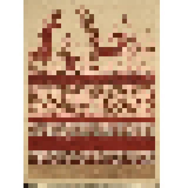 Зарисовка вышивки передника. Из альбома "Орнамент русской женской народной одежды. Женская одежда Русского Севера. Отдельные предметы одежды и детали орнамента". Часть 2