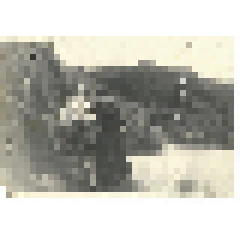 Фотография. Мотористы ГПБ № 452 И.А.Иванов с сослуживцем