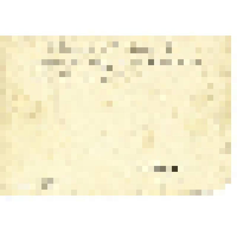 Фотография. Мотористы ГПБ № 452 И.А.Иванов с сослуживцем