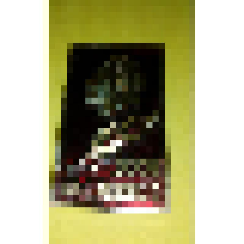 Значок. XXV съезд КПСС