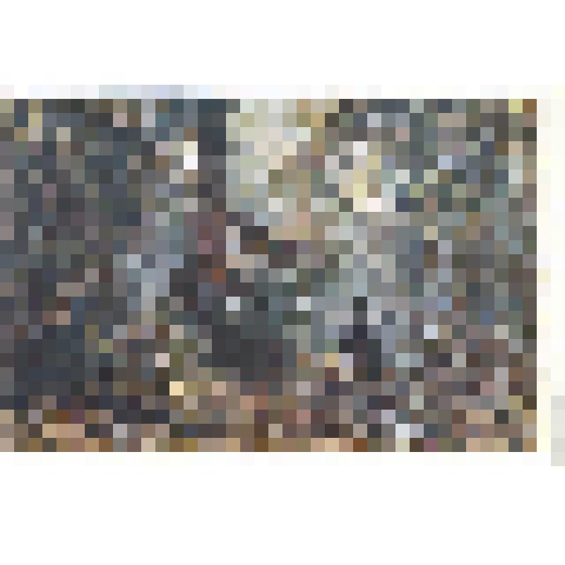 Открытка репродукция картины И. И. Шишкина