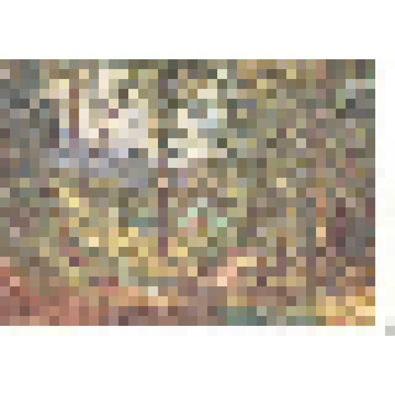 Открытка репродукция картины И. И. Шишкина