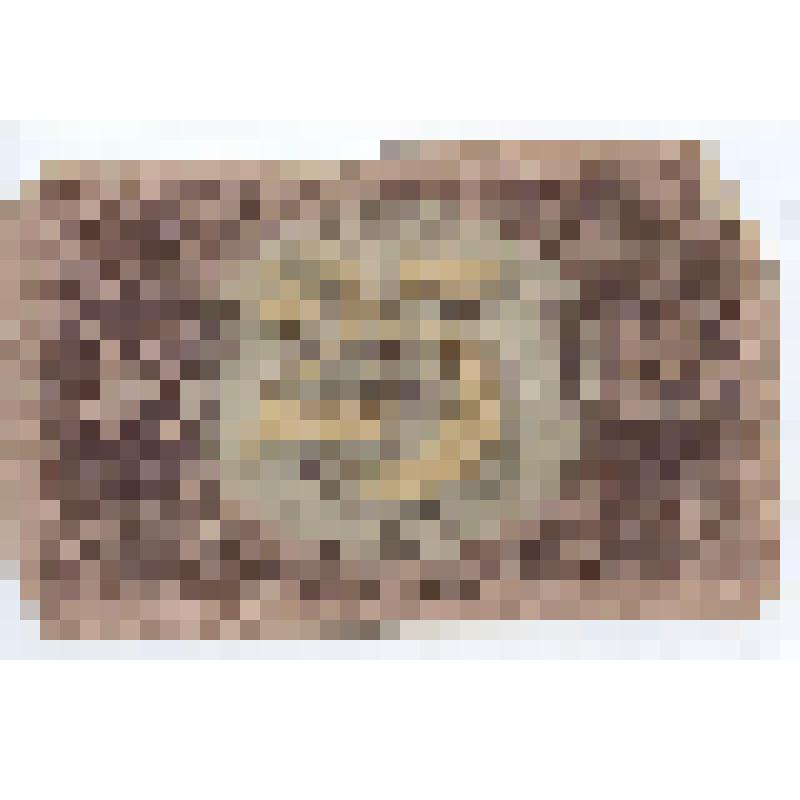 Денежный знак 25 рублей 1922 года