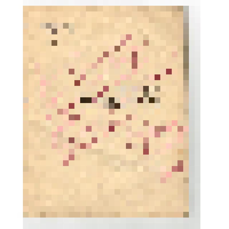 Книги. Книга "Избранная лирика". - М.: Молодая гвардия, 1966