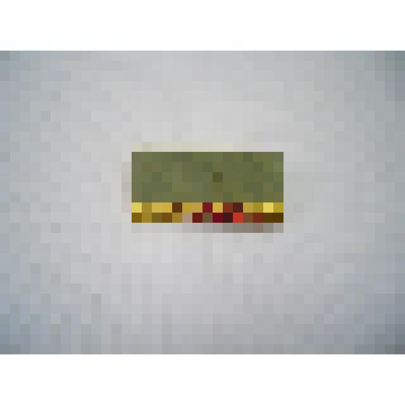 Значок «Башкирия»