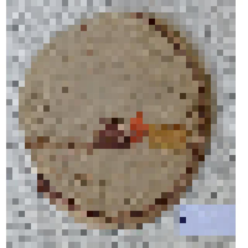 Эстамп на березовом срезе. А.Федотов. СССР. 1970-е гг