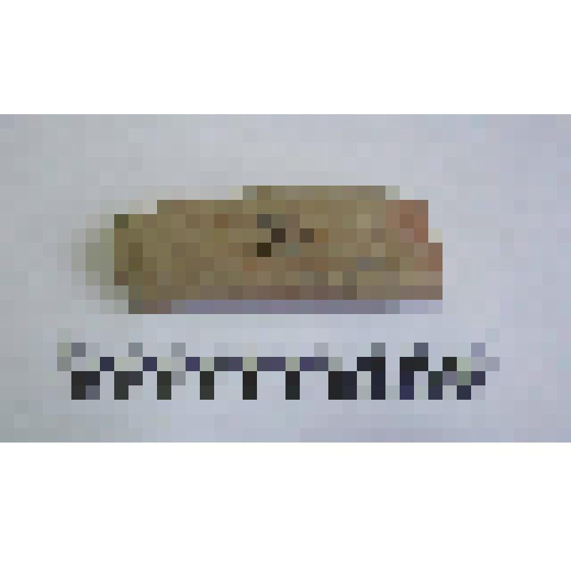 Ручка амфоры типа Зеест 72