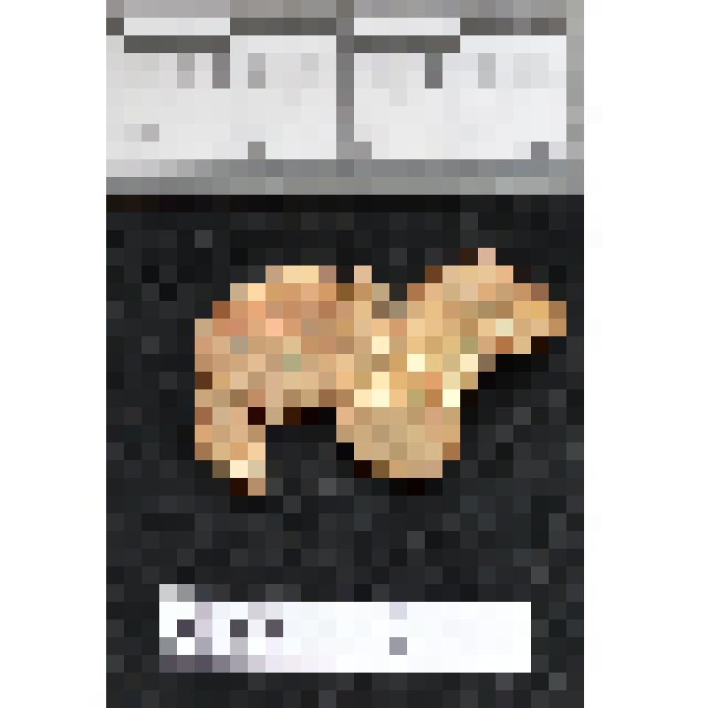 Зооморфная аппликация