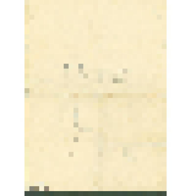 Аттестат №96 участника Великой Отечественной войны, младшего лейтенанта, летчика-наблюдателя 667 отдельного авиационного полка, Костина Дмитрия Ивановича