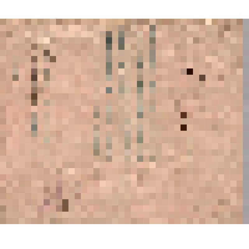 Письмо инспектора народных училищ Челябинского уезда №1408