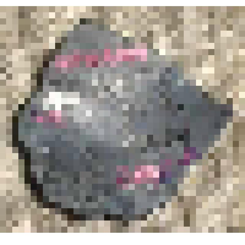 Скребок (фрагмент)