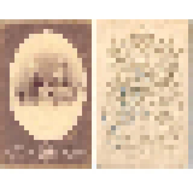 Портрет супружеской пары