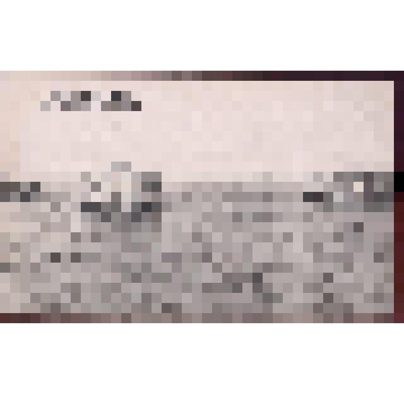 Волга. Вид левого берега у Астрахани