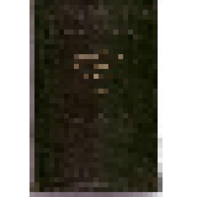 Книга "Опыт советской медицины в Великой Отечественной войне 1941-1945 гг." том 14