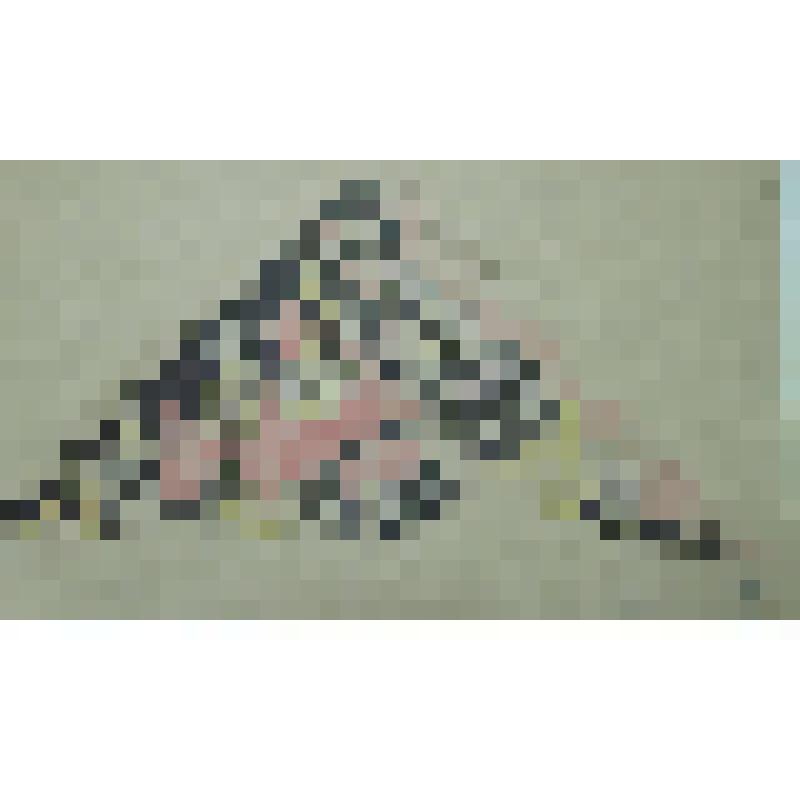 Орнамент. Проект декора шали. Рисунок