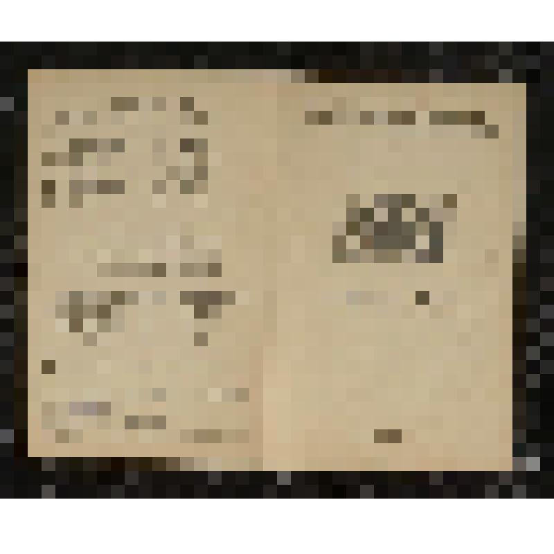 Программа. "Иван Сусанин" (Дирижер - Небольсин В.В. Режиссер - Баратов Л.В. Художник - Вильямс П.В.). Москва. Государственный академический Большой театр СССР