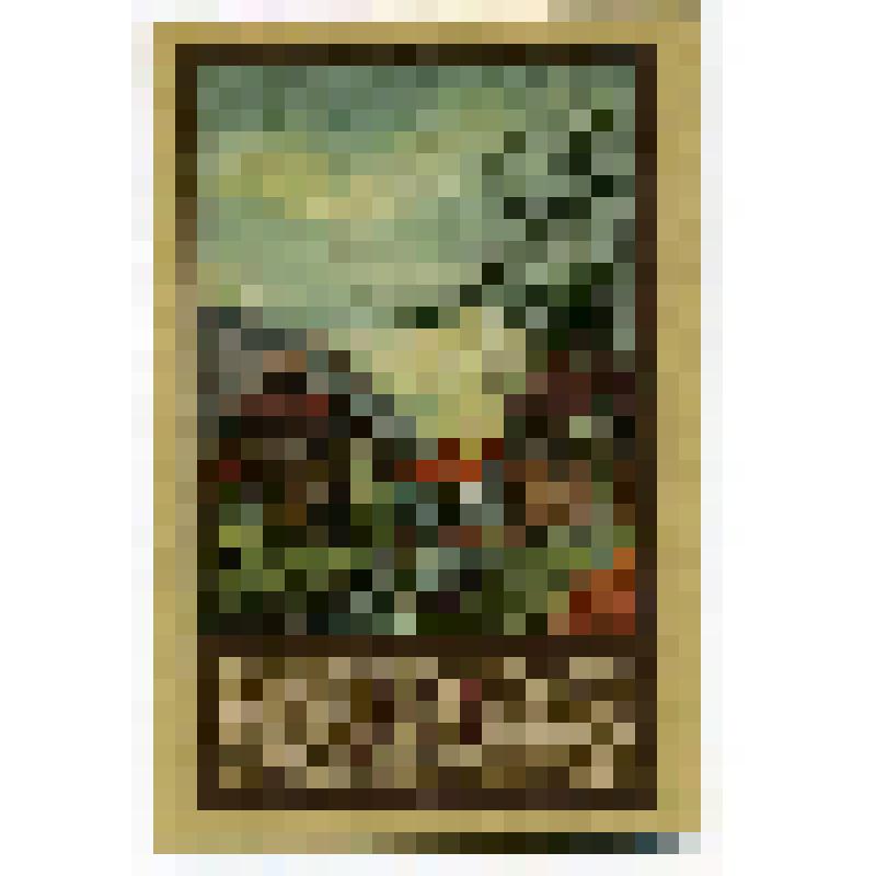 Бумажный денежный знак. Нотгельд г. Зуль. Деревенские дома. 50 пфеннигов. Германский Рейх (Веймарская республика)