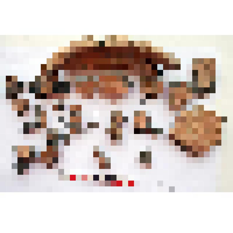 Курильницы фрагмент