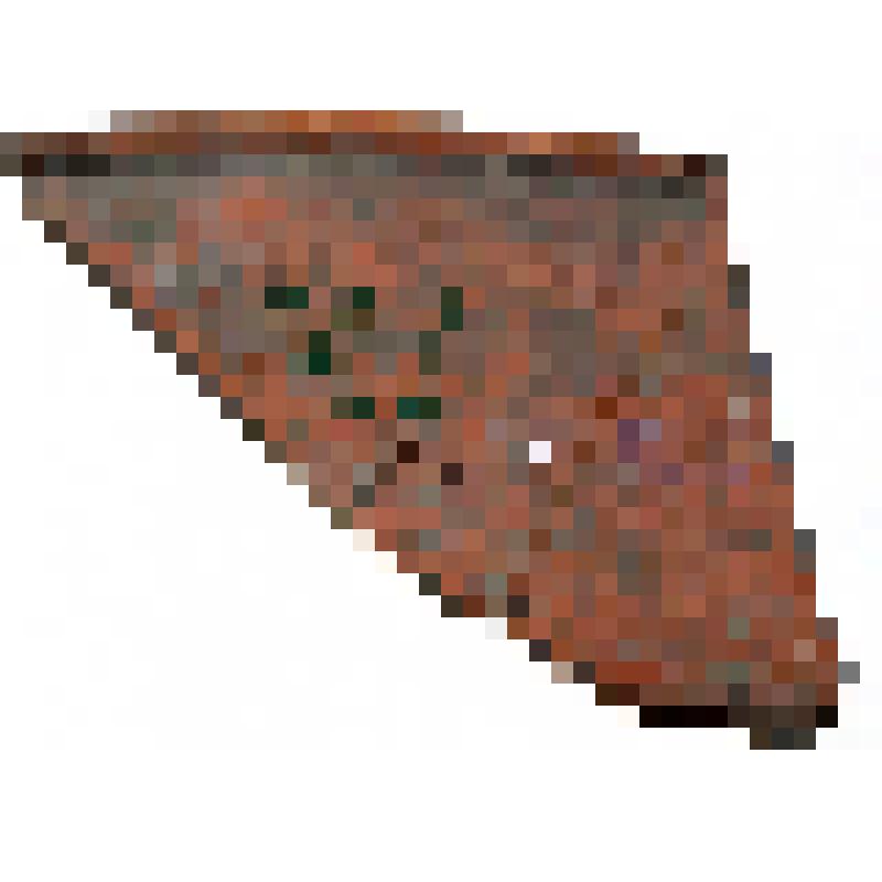 Фрагмент венчика краснолаковой миски