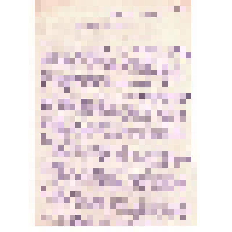 Проект резолюции Бюро МК ВКПб по отчету фракции московского совета союза Безбожник