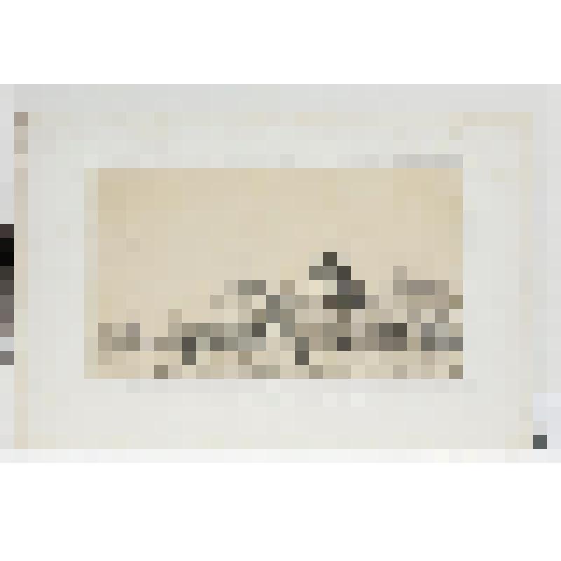 Литография. "Санкт-Петербург. Исаакиевская площадь и памятник Петру Великому. "