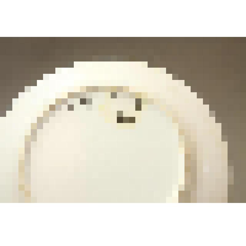 Тарелка мелкая