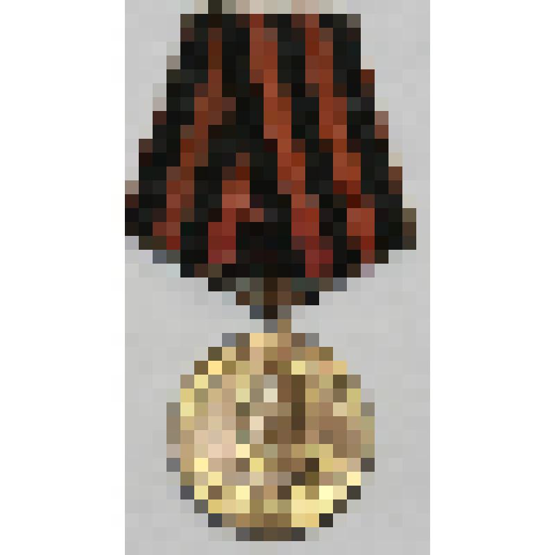 Медаль "За Победу над Германией в Великой Отечественной войне 1941-1945 гг.", Поклад В.И