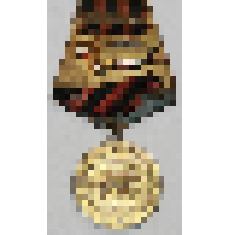 Медаль "За Победу над Германией в Великой Отечественной войне 1941-1945 гг.", Поклад В.И