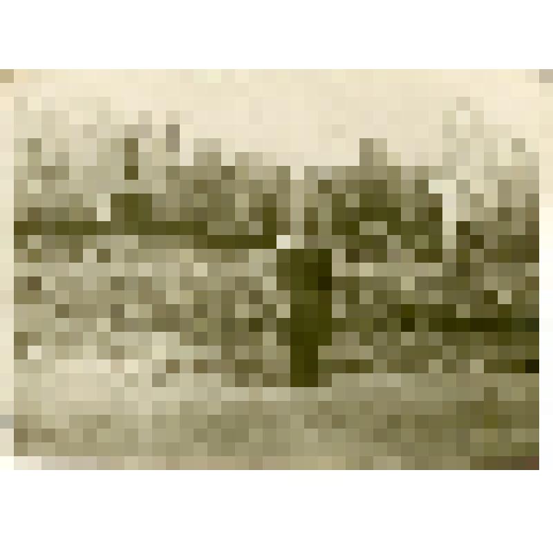 Фотография. Саратов. Кремль в саду им. М. Горького