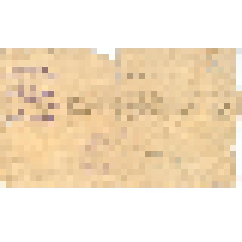 Справка № 10-02 от 13.12.36 г. Кузнецова А.Г. в том, что он уволен по окончании работ и о предоставлении отпуска